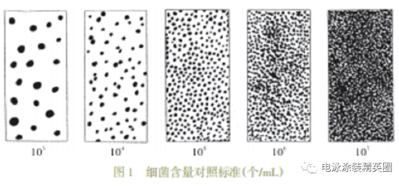細(xì)菌的危害及檢測(cè)方法